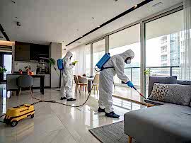 Дезинфекция в доме 90 м2