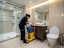 Элитная уборка санузла в квартире