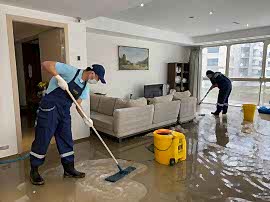 Химчистка ковролина после потопа 30 м2