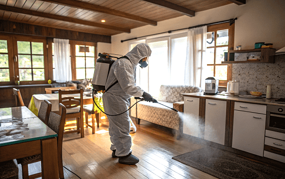 Дезинфекция мебели в коттедже