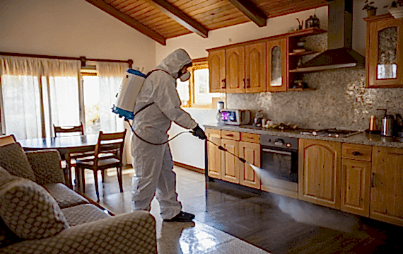 Дезинфекция кухни в коттедже